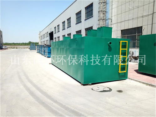 選擇專業伙伴，助力綠色生產——解析羊肉屠宰廠廢水處理設備